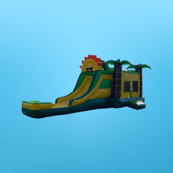 Combo Wet/Dry Slide- Sunrise