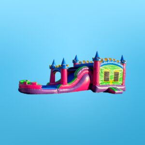 Combo wet/dry slide-Castle