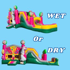Combo Wet/Dry slide-FOR RENT #BUNNY