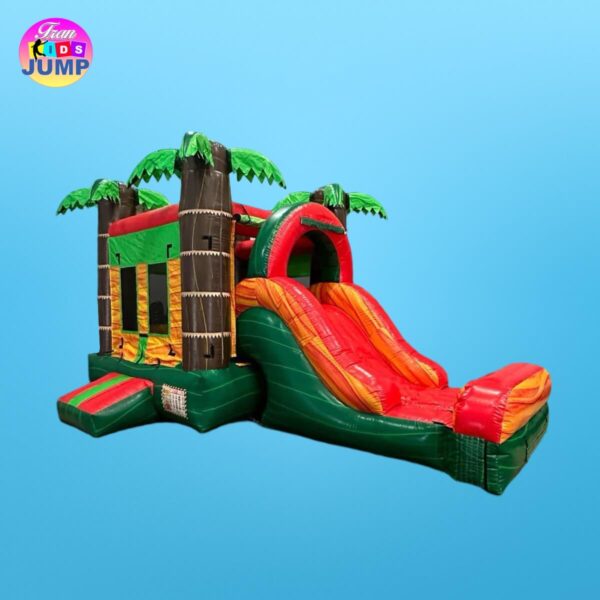 COMBO MINI-Wet Dry TROPICAL SLIDE #30-For Rent - Image 2