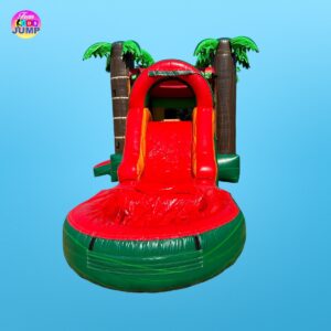 COMBO MINI-Wet Dry TROPICAL SLIDE #30-For Rent