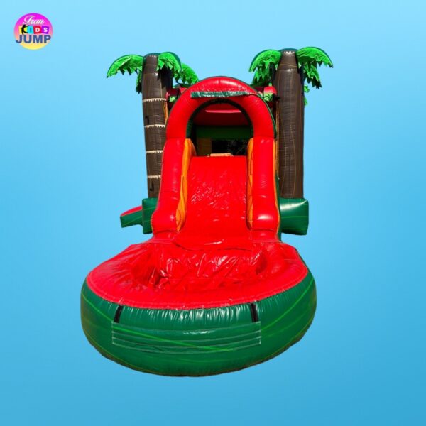 COMBO MINI-Wet Dry TROPICAL SLIDE #30-For Rent - Image 3