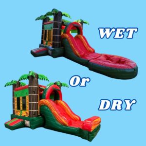 COMBO MINI-Wet Dry TROPICAL SLIDE #30-For Rent