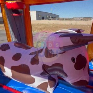 Combo Wet/Dry Slide-Inflatable BULL inside