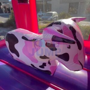Combo Wet/Dry Slide-Inflatable BULL inside