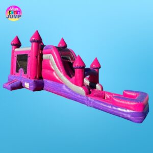 Combo Wet/Dry Slide-Inflatable BULL inside