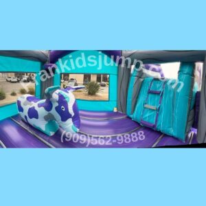 Combo Wet/Dry Slide-Inflatable BULL inside